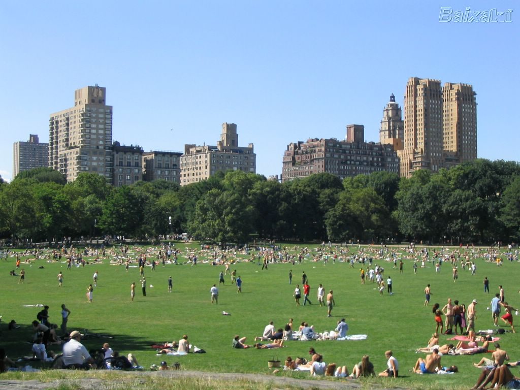 This park. Парк Пламмер США. Таннадайс парк. Стоксбридж парк. Парк Ярден.